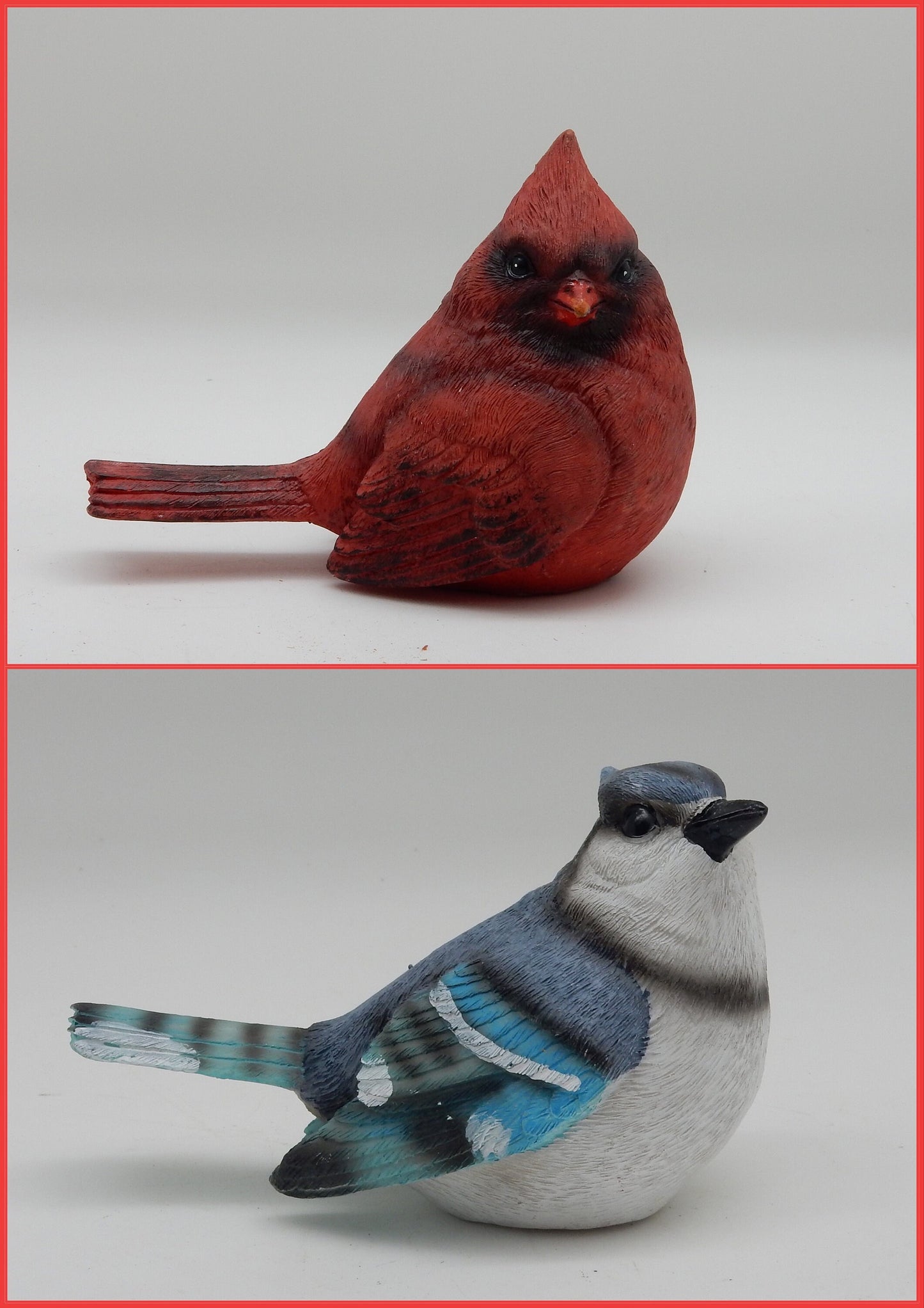 Cardinal And Blue Jay