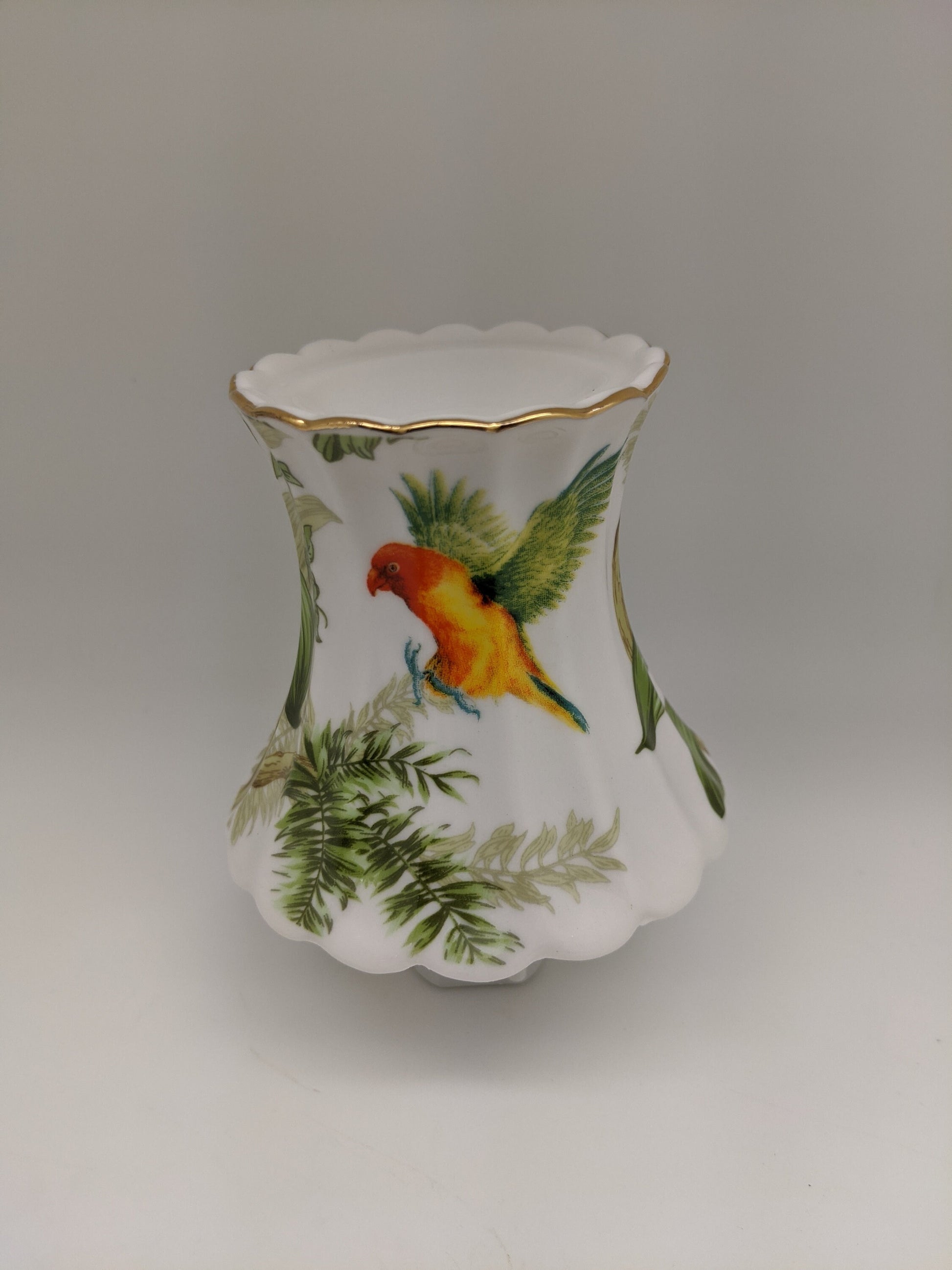 Tropical Parrot Teapot Nightlight & Oil Burner