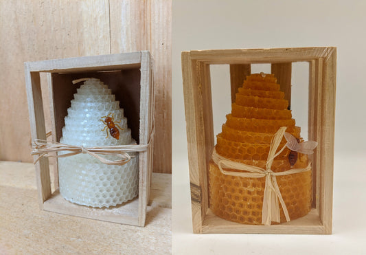 Beeswax Honey Comb (White or Yellow)