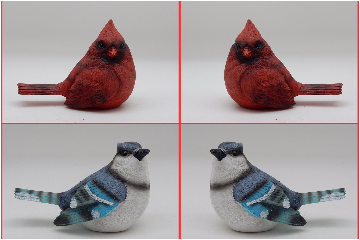 Cardinal And Blue Jay
