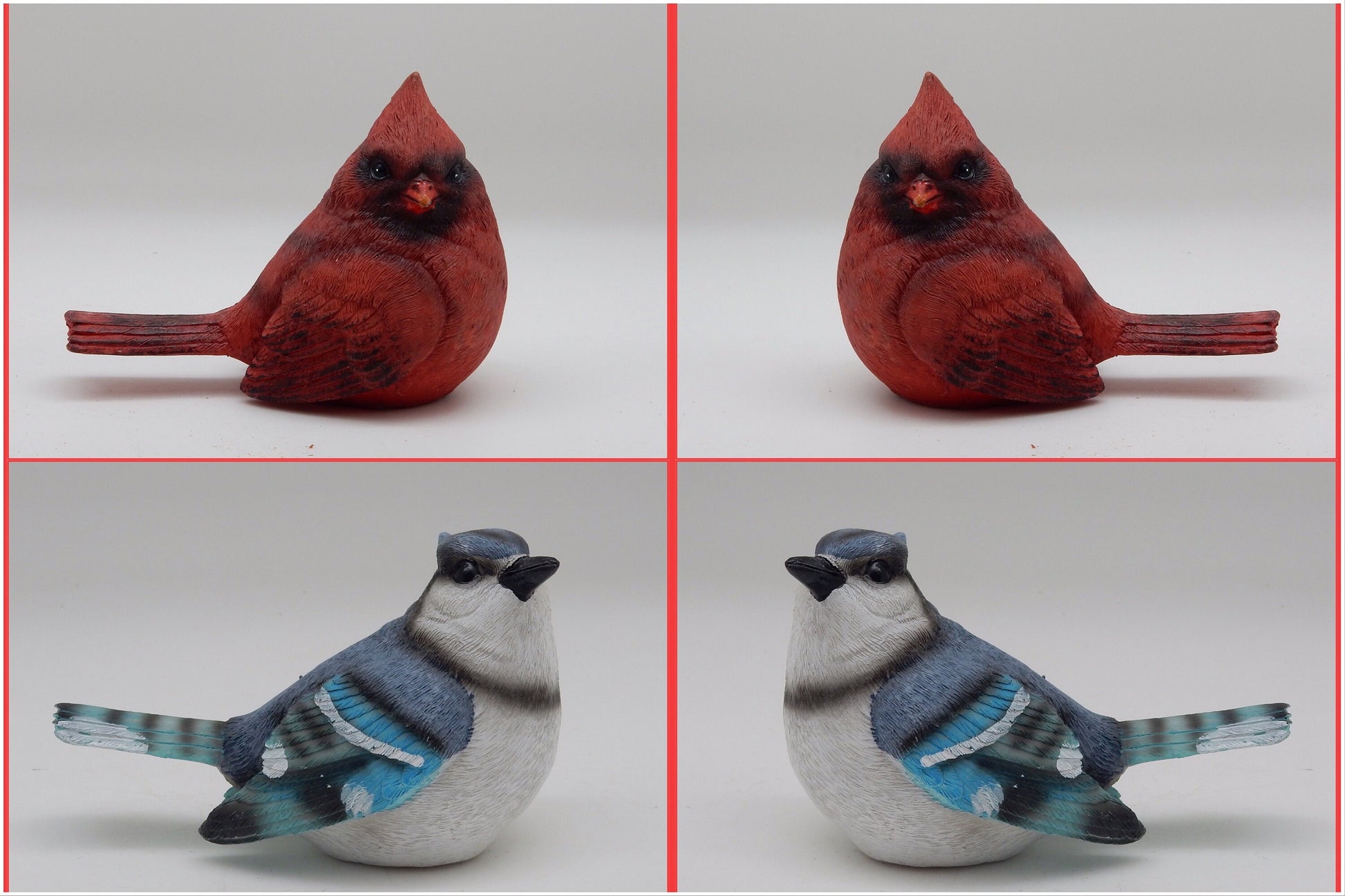 Cardinal And Blue Jay