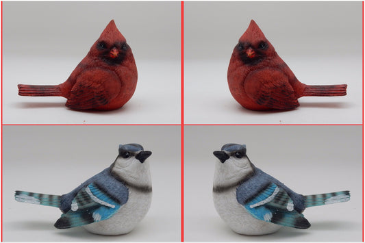 Cardinal And Blue Jay