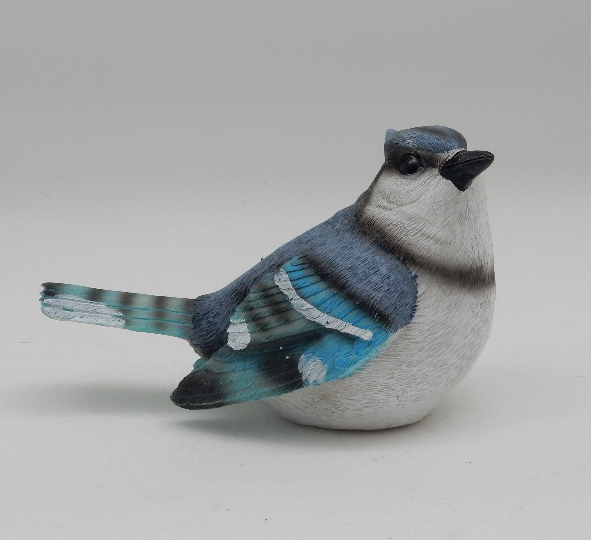 Cardinal And Blue Jay
