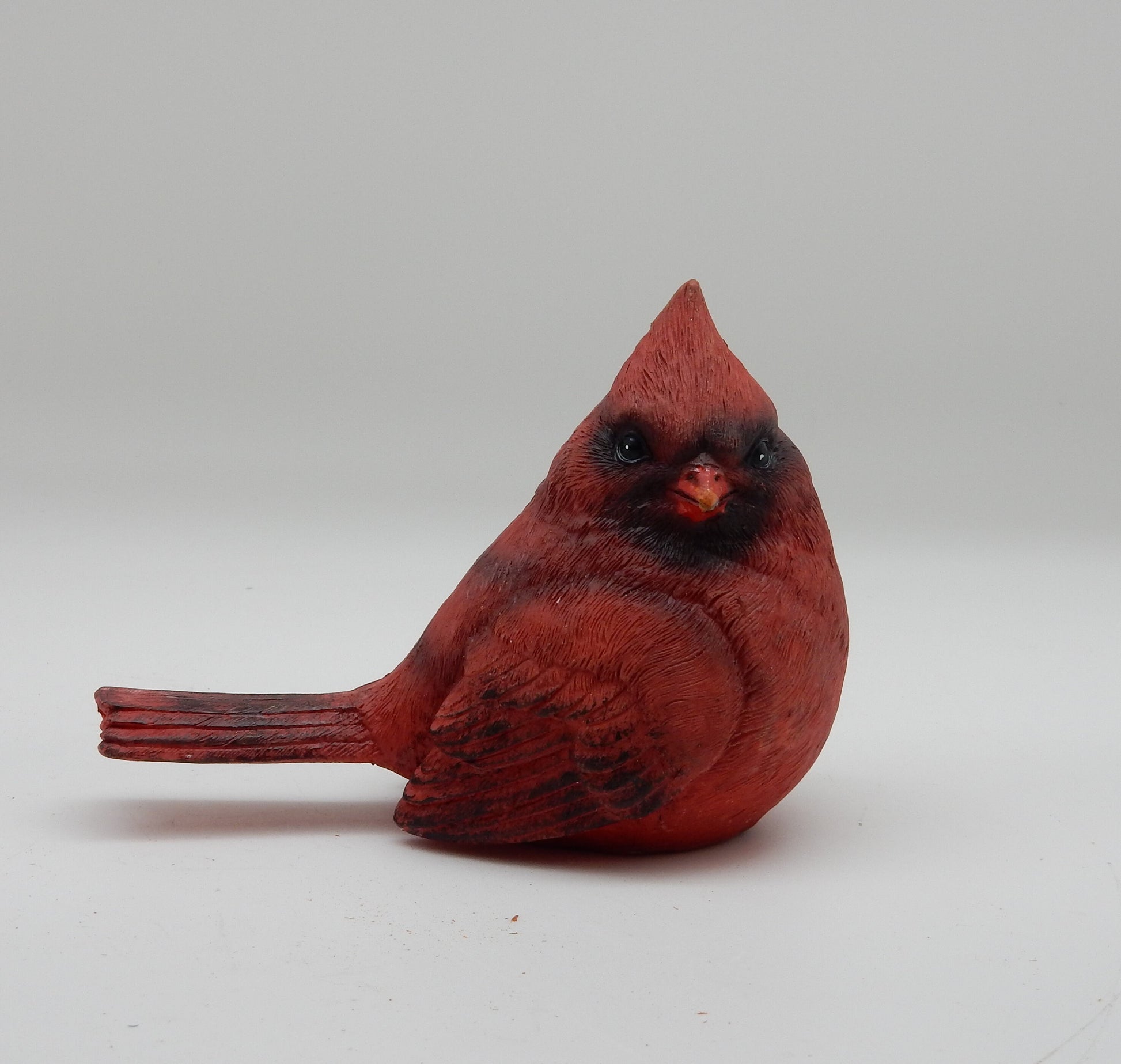 Cardinal And Blue Jay