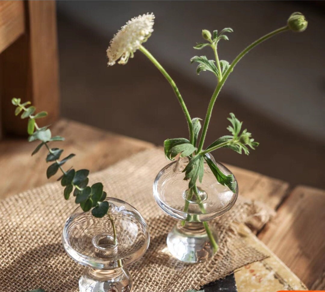 Mushroom Shaped Vase/Mushroom Drinking Glass/Cute Flower Pot/Clear Glass Vase