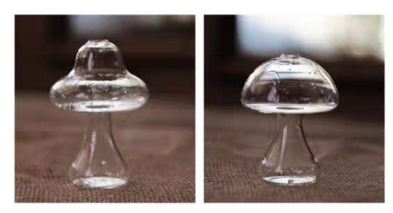 Mushroom Shaped Vase/Mushroom Drinking Glass/Cute Flower Pot/Clear Glass Vase