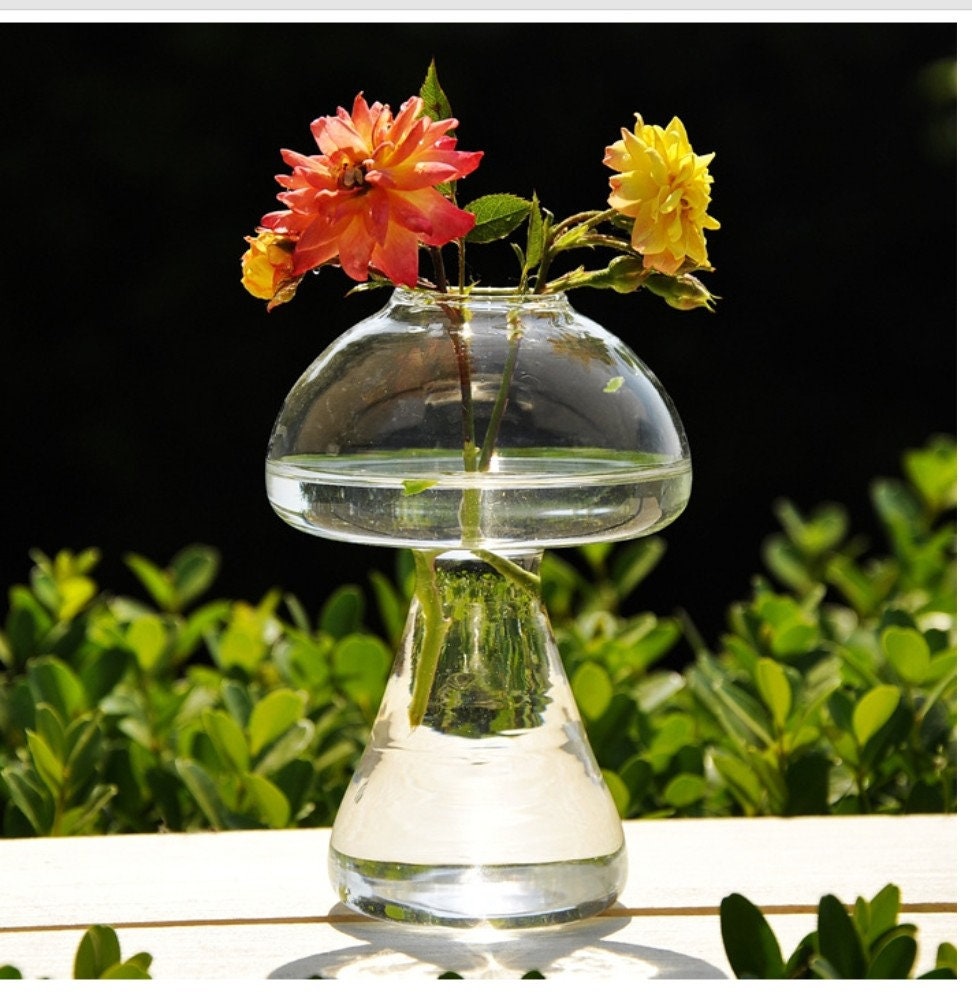Mushroom Shaped Vase/Mushroom Drinking Glass/Cute Flower Pot/Clear Glass Vase