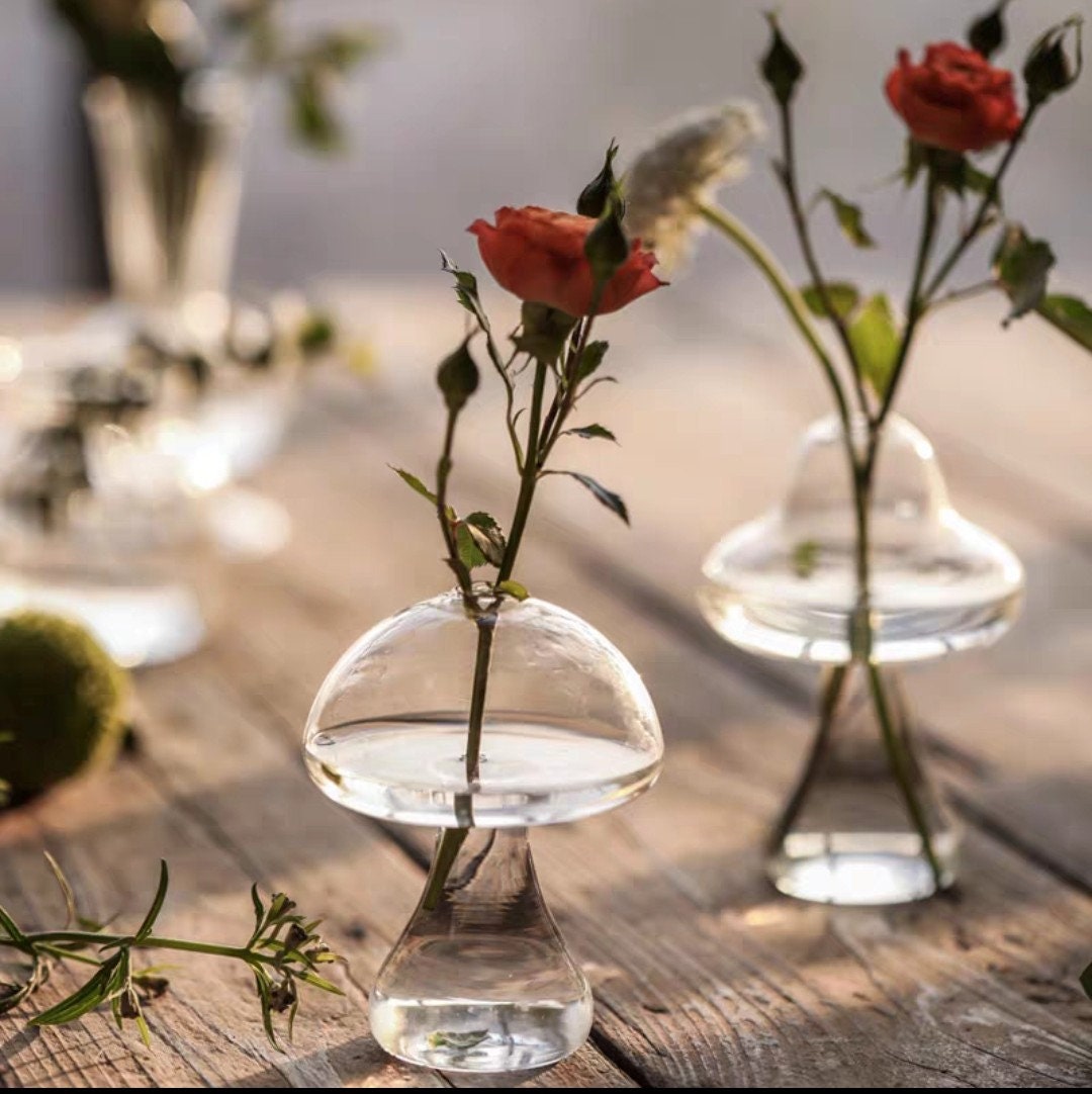 Mushroom Shaped Vase/Mushroom Drinking Glass/Cute Flower Pot/Clear Glass Vase